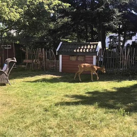 Familievennlig Med Hage Og Fjordutsikt Horten